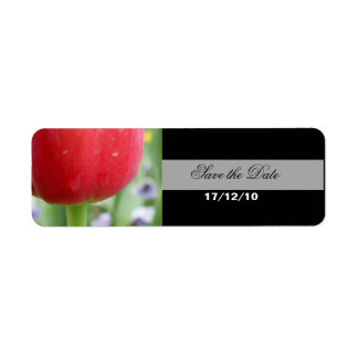 Red Tulip