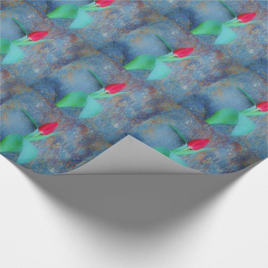 Red Tulip auf Blue Gray Slate Geschenkpapier (Ecke)