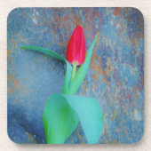 Red Tulip auf Blue Gray Slate Getränkeuntersetzer (Vorderseite)