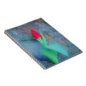 Red Tulip auf Blue Gray Slate Notizblock (Rechte Seite)