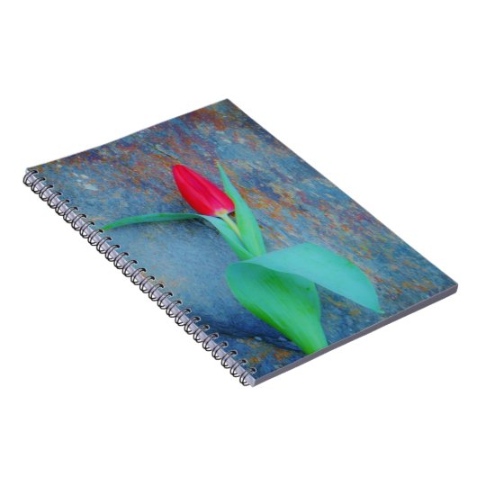 Red Tulip auf Blue Gray Slate Notizblock (Rechte Seite)