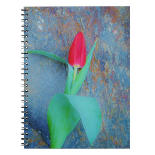 Red Tulip auf Blue Gray Slate Notizblock