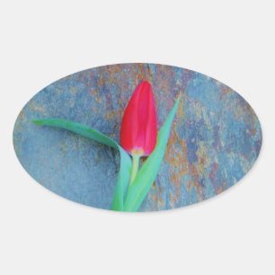 Red Tulip auf Blue Gray Slate Ovaler Aufkleber