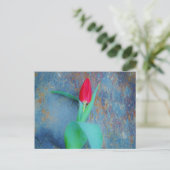 Red Tulip auf Blue Gray Slate Postkarte (Stehend Vorderseite)