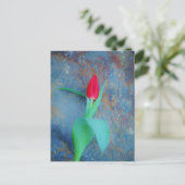 Red Tulip auf Blue Gray Slate Postkarte (Stehend Vorderseite)