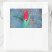 Red Tulip auf Blue Gray Slate Rechteckiger Aufkleber (Tasche)
