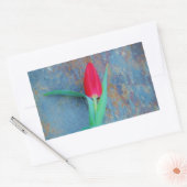 Red Tulip auf Blue Gray Slate Rechteckiger Aufkleber (Umschlag)