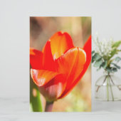 Red Tulip Blossom Briefpapier (Stehend Vorderseite)