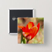 Red Tulip Blossom Button (Vorne & Hinten)