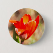 Red Tulip Blossom Button (Vorderseite)