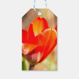 Red Tulip Blossom Geschenkanhänger