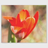 Red Tulip Blossom Geschenkpapier (Flach)