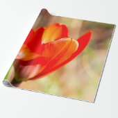 Red Tulip Blossom Geschenkpapier (Ungerollt)