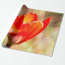 Red Tulip Blossom