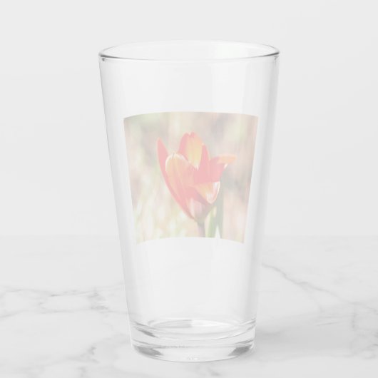 Red Tulip Blossom Glas (Rückseite)
