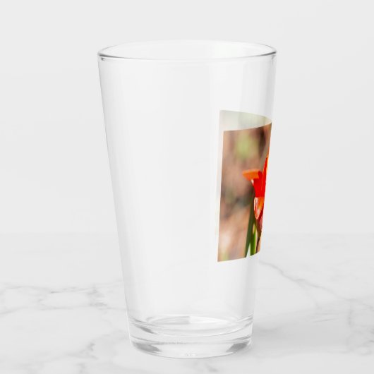 Red Tulip Blossom Glas (Rechts)