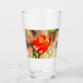 Red Tulip Blossom Glas (Vorderseite)