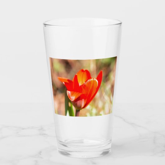Red Tulip Blossom Glas (Vorderseite)