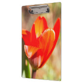 Red Tulip Blossom Klemmbrett (Links)
