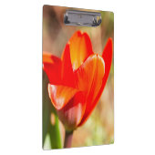 Red Tulip Blossom Klemmbrett (Rechts)