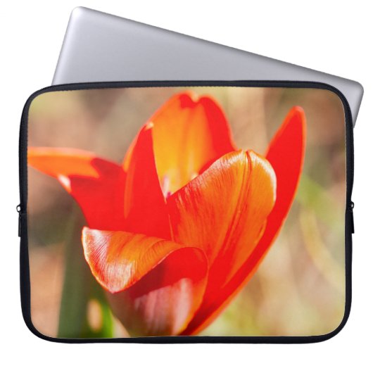 Red Tulip Blossom Laptopschutzhülle (Vorderseite)
