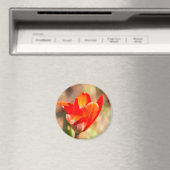 Red Tulip Blossom Magnet (In Situ (Geschirrspüler))