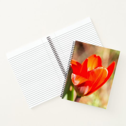 Red Tulip Blossom Notizblock (Innenseite)