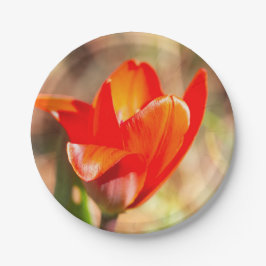 Red Tulip Blossom Pappteller