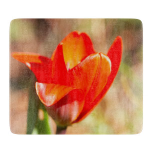 Red Tulip Blossom Schneidebrett