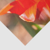 Red Tulip Blossom Seidenpapier (Ausschnitt)