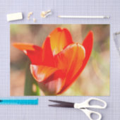 Red Tulip Blossom Seidenpapier (Handwerk)