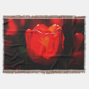 Red Tulip Blume - Feuer Decke