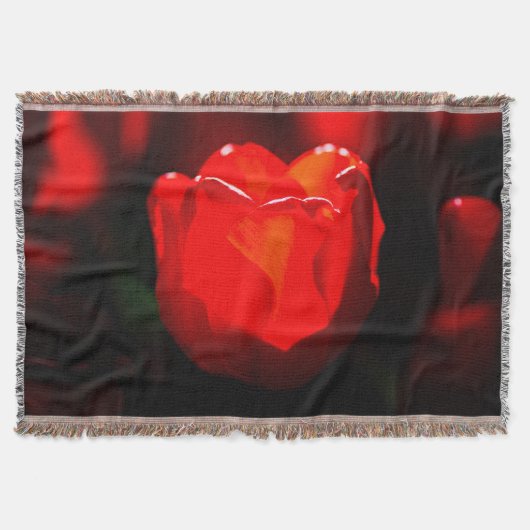 Red Tulip Blume - Feuer Decke (Vorderseite)