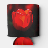 Red Tulip Blume - Feuer