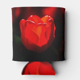 Red Tulip Blume - Feuer Dosenkühler