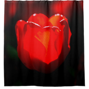 Red Tulip Blume - Feuer Duschvorhang