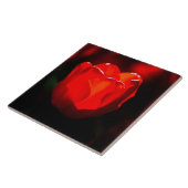 Red Tulip Blume - Feuer Fliese (Seite)