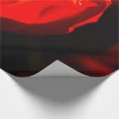 Red Tulip Blume - Feuer Geschenkpapier (Ecke)