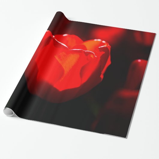 Red Tulip Blume - Feuer Geschenkpapier (Ungerollt)