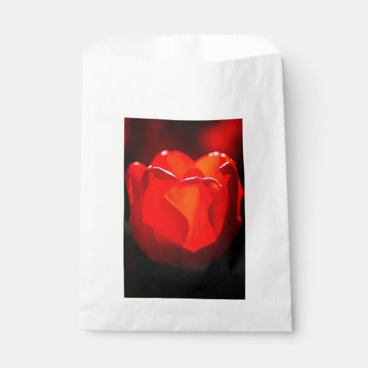 Red Tulip Blume - Feuer Geschenktütchen (Vorderseite)