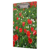 Red Tulip Blume Field Foto Klemmbrett (Links)