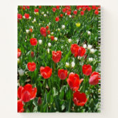 Red Tulip Blume Field Foto Notizblock (Rückseite)