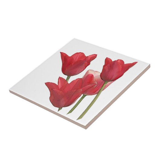 Red Tulip Blume Fliese (Seite)