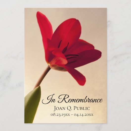 Red Tulip Blume Frühjahrsfeier Gedenkfeier Programm (Vorderseite)