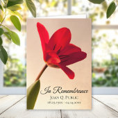 Red Tulip Blume Frühlingsbeerdigung Service geklap Programm