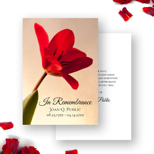 Red Tulip Blume Frühlingsfest Gedenkstätte Beileid Dankeskarte