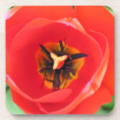 Red Tulip Blume Macro Foto Set 6 Untersetzer (Vorderseite)