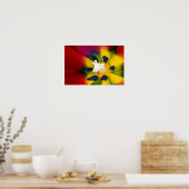 Red Tulip Blume Poster (Küche)