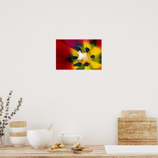 Red Tulip Blume Poster (Küche)