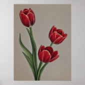 Red Tulip Blume Poster (Vorne)